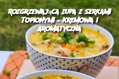 Rozgrzewająca Zupa z Serkami Topionymi – Kremowa i Aromatyczna