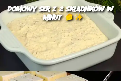 Domowy Ser z 2 Składników w 6 Minut