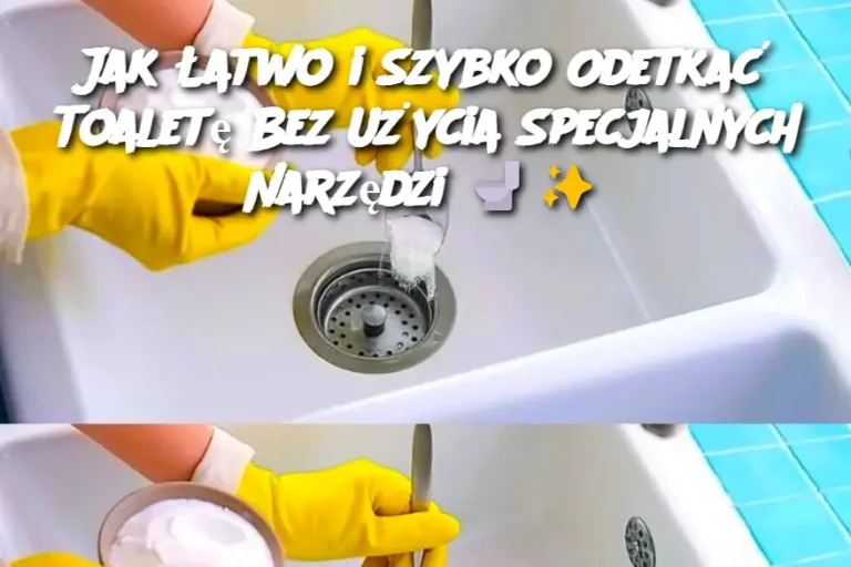 Jak Łatwo i Szybko Odetkać Toaletę Bez Użycia Specjalnych Narzędzi