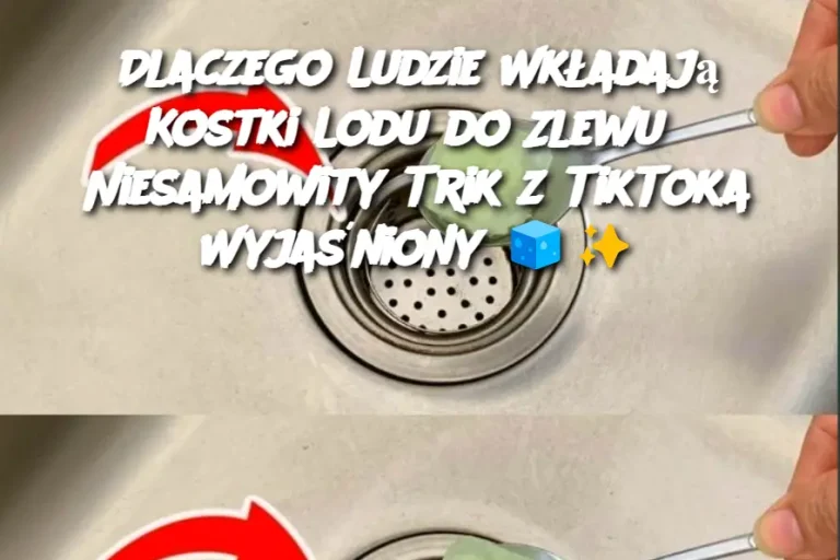 Dlaczego Ludzie Wkładają Kostki Lodu do Zlewu? Niesamowity Trik z TikToka Wyjaśniony