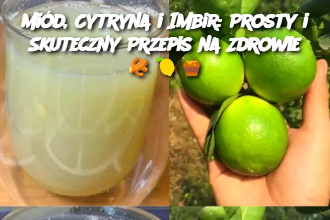 Miód, Cytryna i Imbir: Prosty i Skuteczny Przepis na Zdrowie