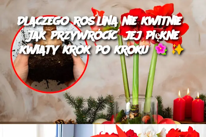 Dlaczego roślina nie kwitnie? Jak przywrócić jej piękne kwiaty krok po kroku