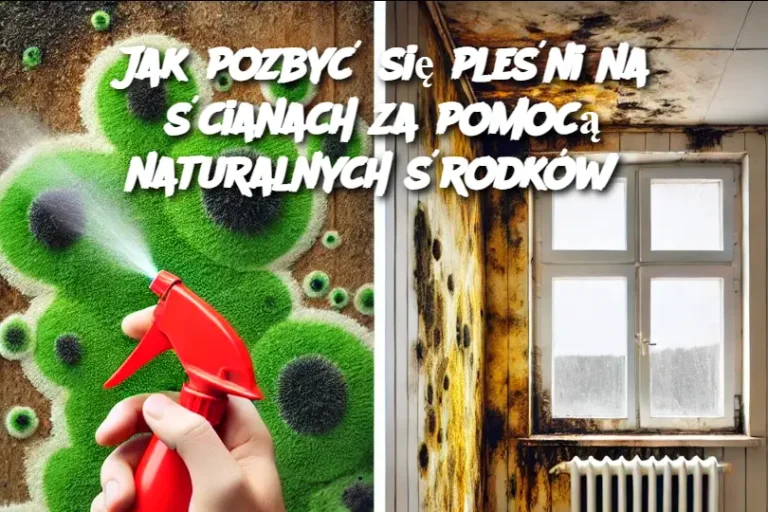 Jak pozbyć się pleśni na ścianach za pomocą naturalnych środków?