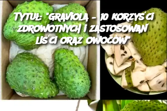 Tytuł: "Graviola – 10 korzyści zdrowotnych i zastosowań liści oraz owoców"