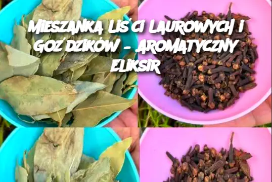 Mieszanka Liści Laurowych i Goździków – Aromatyczny Eliksir