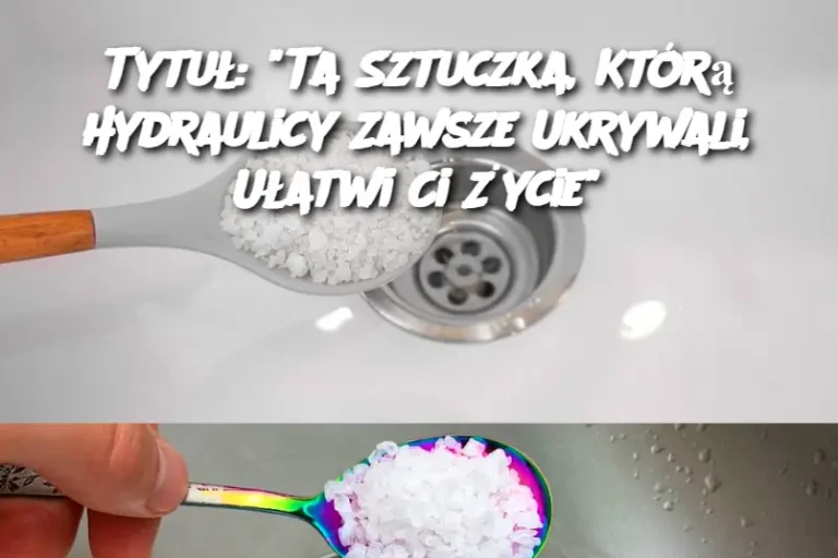 Tytuł: "Ta Sztuczka, Którą Hydraulicy Zawsze Ukrywali, Ułatwi Ci Życie"