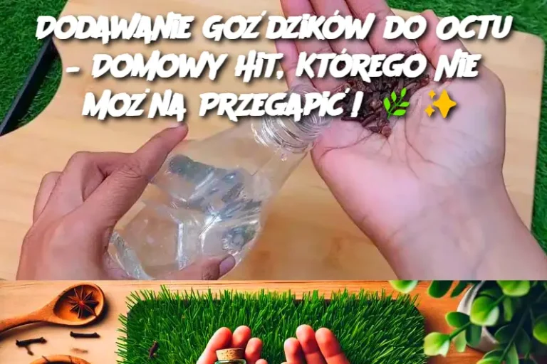 Dodawanie Goździków do Octu – Domowy Hit, Którego Nie Można Przegapić!