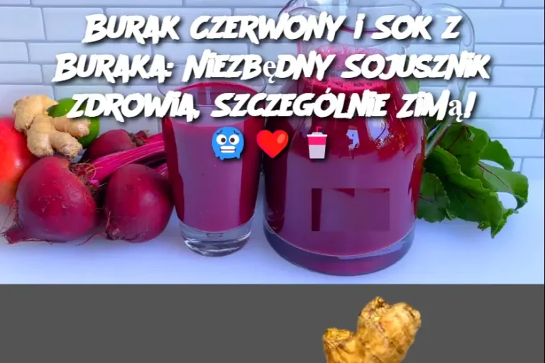 Burak Czerwony i Sok z Buraka: Niezbędny Sojusznik Zdrowia, Szczególnie Zimą!