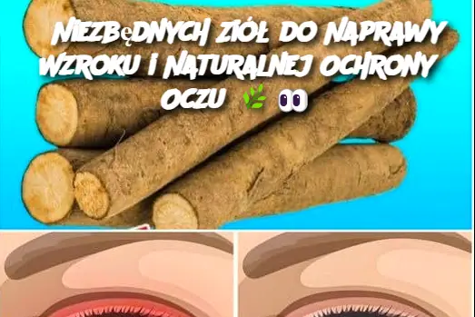 6 Niezbędnych Ziół do Naprawy Wzroku i Naturalnej Ochrony Oczu