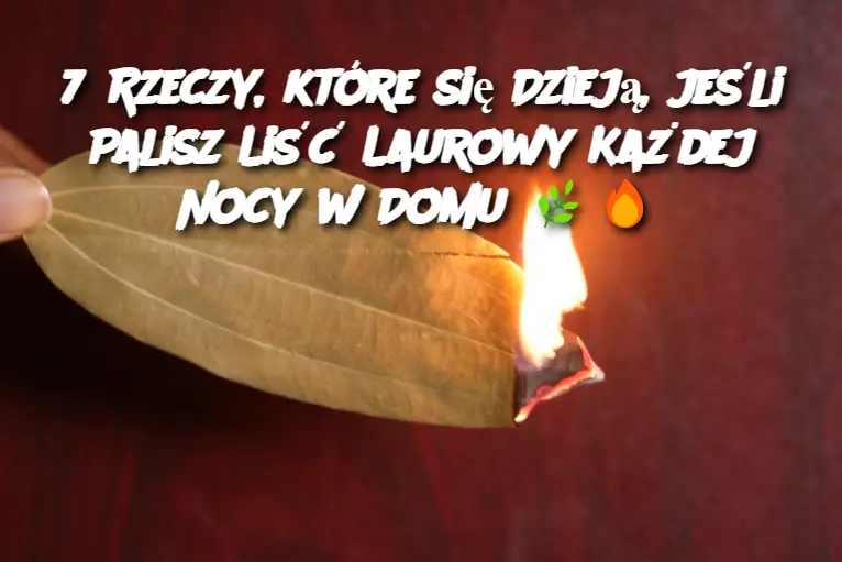 7 Rzeczy, które się Dzieją, jeśli Palisz Liść Laurowy Każdej Nocy w Domu