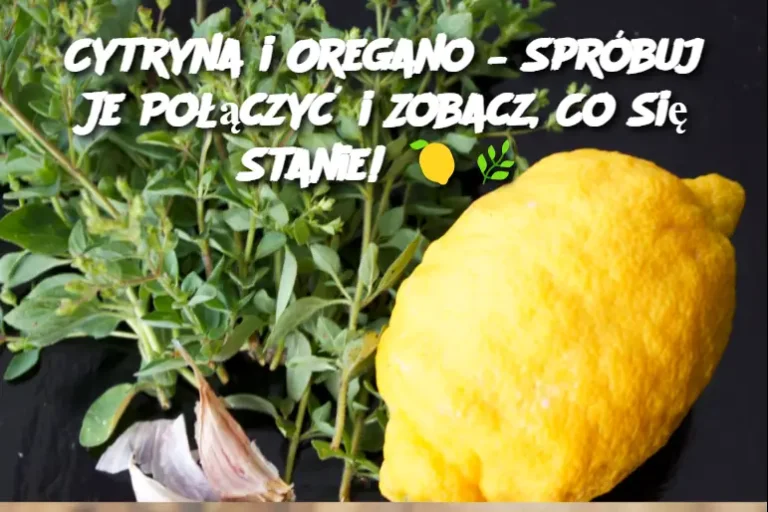 Cytryna i Oregano – Spróbuj Je Połączyć i Zobacz, Co Się Stanie!