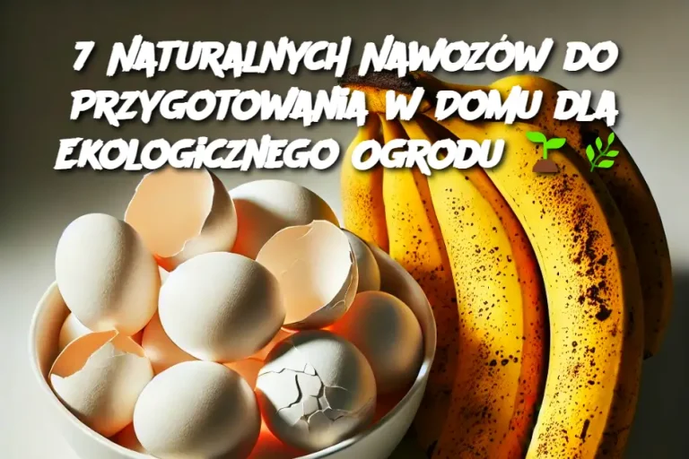 7 Naturalnych Nawozów do Przygotowania w Domu dla Ekologicznego Ogrodu