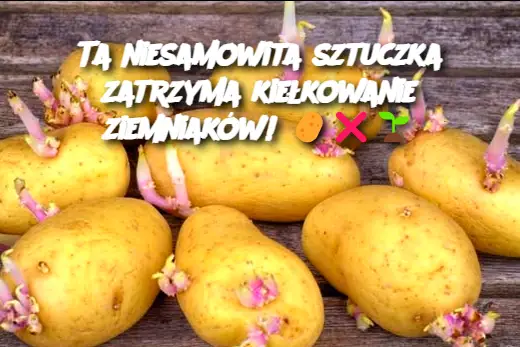 Ta niesamowita sztuczka zatrzyma kiełkowanie ziemniaków!