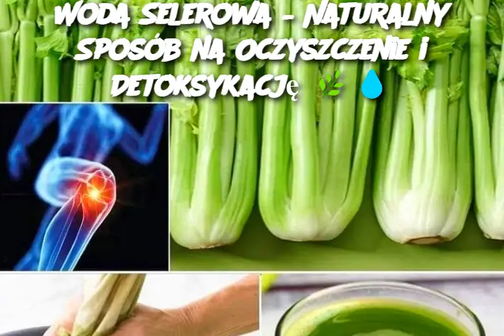 Woda Selerowa – Naturalny Sposób na Oczyszczenie i Detoksykację