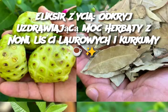 Eliksir Życia: Odkryj Uzdrawiającą Moc Herbaty z Noni, Liści Laurowych i Kurkumy