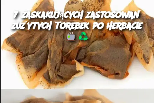 7 Zaskakujących Zastosowań Zużytych Torebek po Herbacie