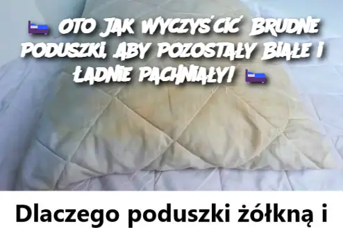 Oto Jak Wyczyścić Brudne Poduszki, Aby Pozostały Białe i Ładnie Pachniały!