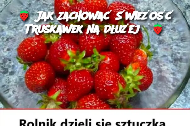 Jak Zachować Świeżość Truskawek na Dłużej?