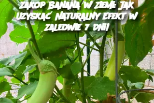 Zakop Banana w Ziemi: Jak Uzyskać Naturalny Efekt w Zaledwie 7 Dni!