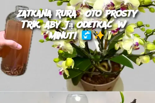 Zatkana Rura? Oto Prosty Trik, Aby Ją Odetkać w 5 Minut!