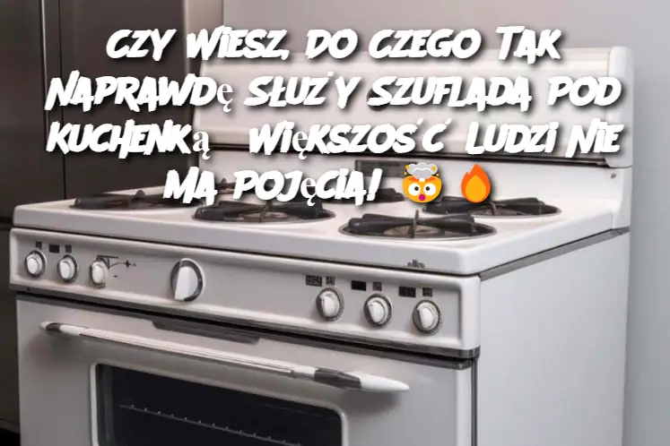 Czy Wiesz, Do Czego Tak Naprawdę Służy Szuflada Pod Kuchenką? Większość Ludzi Nie Ma Pojęcia!