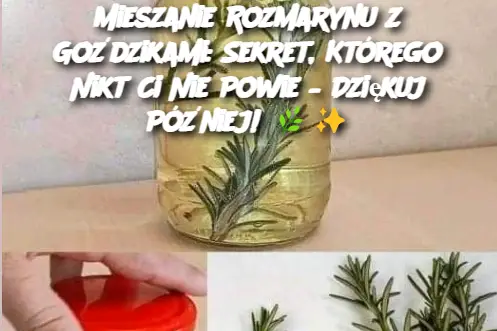 Mieszanie Rozmarynu z Goździkami: Sekret, Którego Nikt Ci Nie Powie – Dziękuj Później!