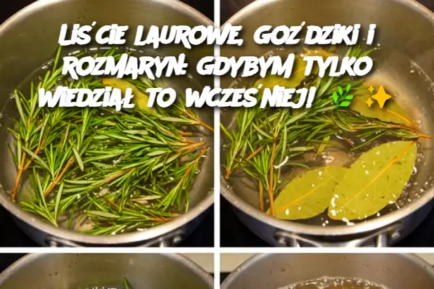 Liście laurowe, goździki i rozmaryn: gdybym tylko wiedział to wcześniej!