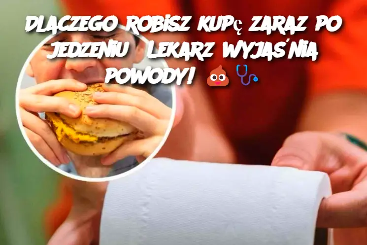 Dlaczego robisz kupę zaraz po jedzeniu? Lekarz wyjaśnia powody!