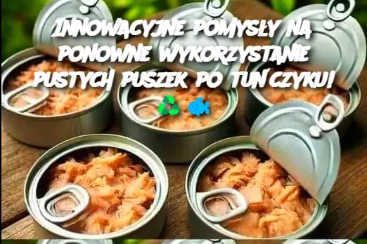 Innowacyjne pomysły na ponowne wykorzystanie pustych puszek po tuńczyku!