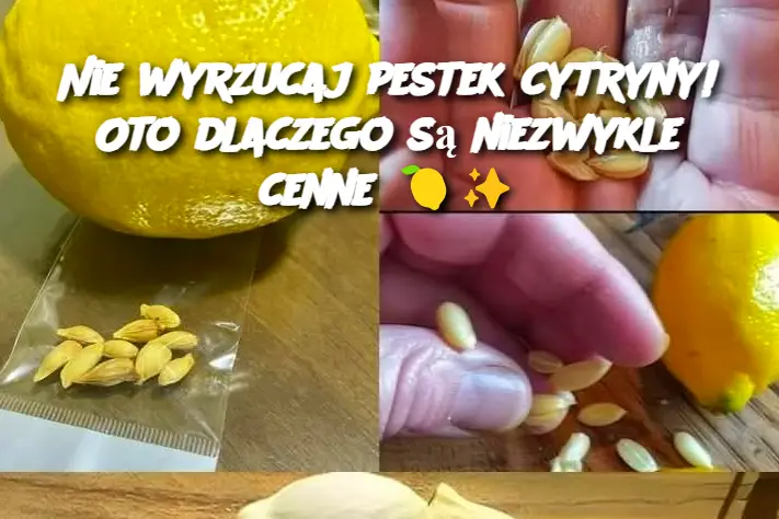 Nie wyrzucaj pestek cytryny! Oto dlaczego są niezwykle cenne