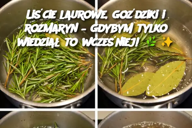 Liście laurowe, goździki i rozmaryn – gdybym tylko wiedział to wcześniej!