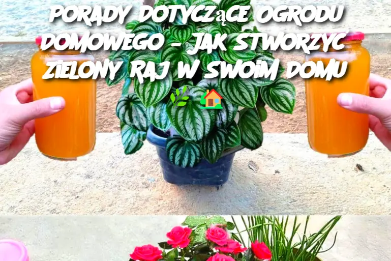 Porady Dotyczące Ogrodu Domowego – Jak Stworzyć Zielony Raj w Swoim Domu