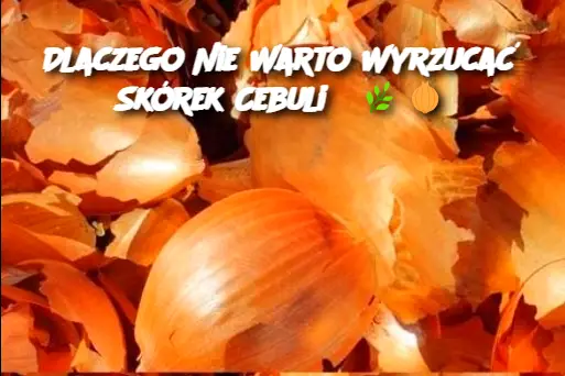 Dlaczego Nie Warto Wyrzucać Skórek Cebuli?