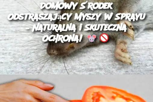 Domowy Środek Odstraszający Myszy w Sprayu – Naturalna i Skuteczna Ochrona!