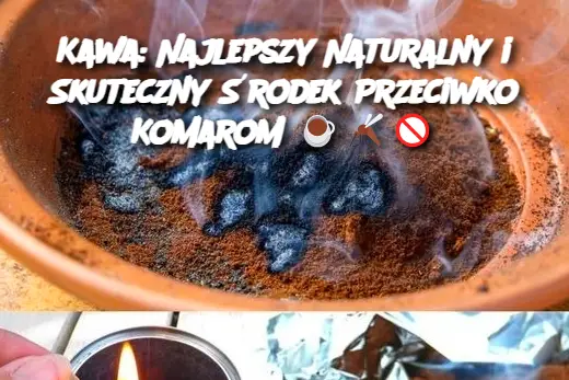 Kawa: Najlepszy Naturalny i Skuteczny Środek Przeciwko Komarom