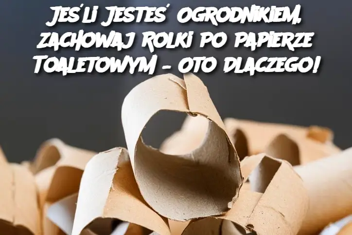 Jeśli Jesteś Ogrodnikiem, Zachowaj Rolki Po Papierze Toaletowym – Oto Dlaczego!