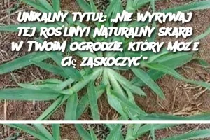 Unikalny tytuł: „Nie wyrywaj tej rośliny! Naturalny skarb w Twoim ogrodzie, który może Cię zaskoczyć”