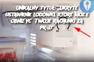 Unikalny tytuł: „Ukryte ustawienie lodówki, które może obniżyć Twoje rachunki za prąd”