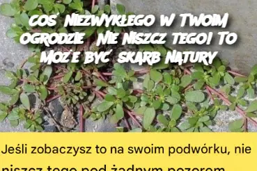 Coś niezwykłego w Twoim ogrodzie? Nie niszcz tego! To może być skarb natury