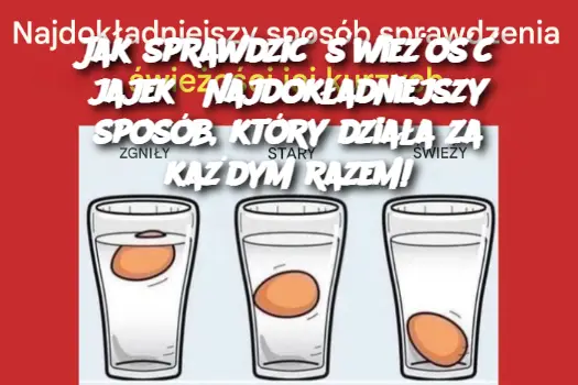 Jak sprawdzić świeżość jajek? Najdokładniejszy sposób, który działa za każdym razem!