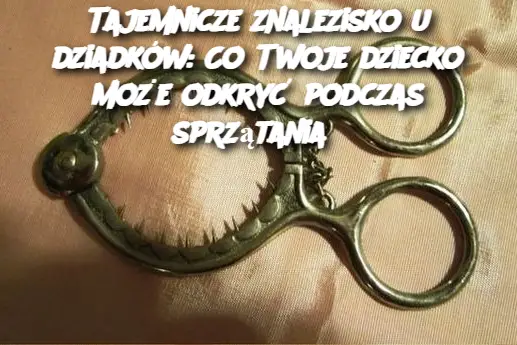 Tajemnicze znalezisko u dziadków: Co Twoje dziecko może odkryć podczas sprzątania?