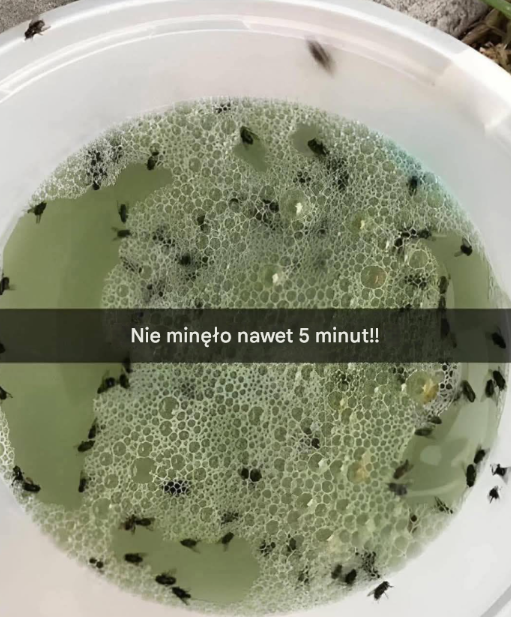 Niezawodny Trik na Ciepłe Dni – Przyszłość Wiosny i Lata Jest Właśnie Teraz!