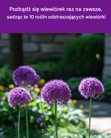 Tytuł: 10 Roślin, Które Pomogą Ci Pozbyć się Wiewiórek Raz Na Zawsze