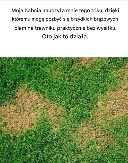 Moja babcia nauczyła mnie tego triku, dzięki któremu mogę pozbyć się brzydkich brązowych plam na trawniku praktycznie bez wysiłku.