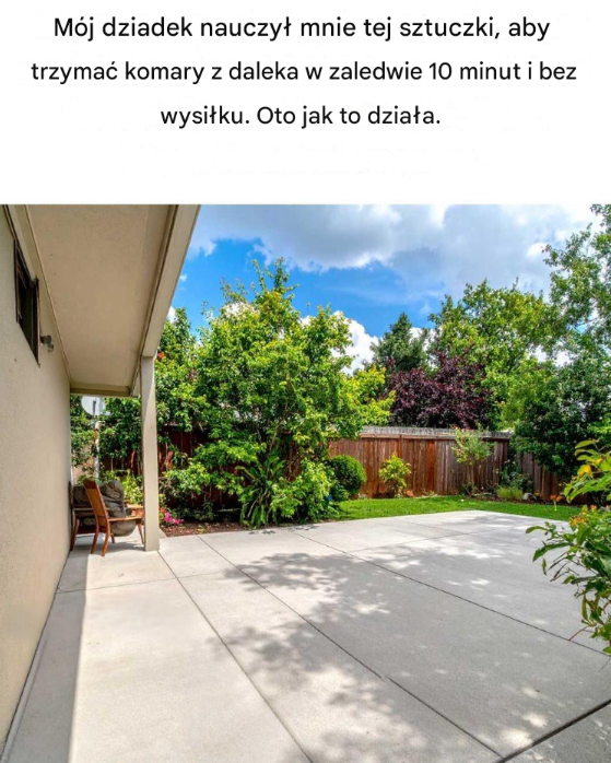 Mój dziadek nauczył mnie tej sztuczki, aby trzymać komary z daleka w zaledwie 10 minut i bez wysiłku.