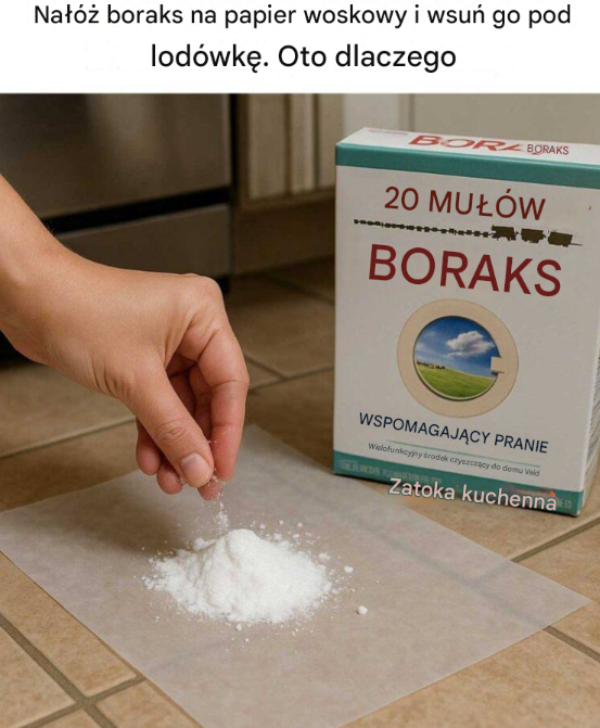 Nałóż boraks na papier woskowy i wsuń go pod lodówkę. Oto dlaczego