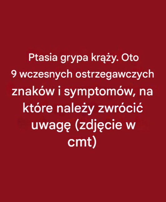 Szkoda, że nie dowiedziałem się o tym wcześniej!