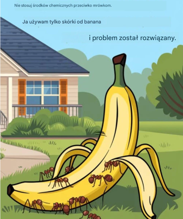 Naturalna metoda na mrówki: skórka od banana zamiast chemii
