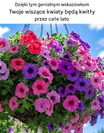 Dzięki tym genialnym wskazówkom Twoje wiszące kwiaty będą kwitły przez całe lato