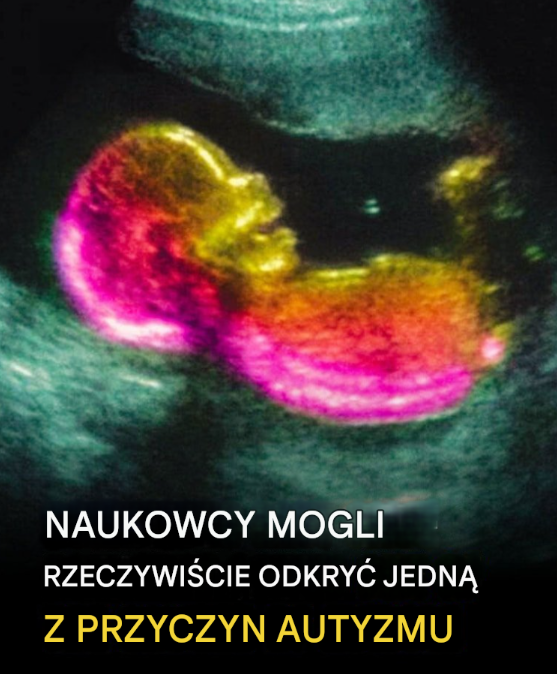 Naukowcy mogli faktycznie odkryć jedną z przyczyn, dla których tłuszcz na brzuchu tak trudno zniknąć